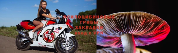 спиды Богородицк