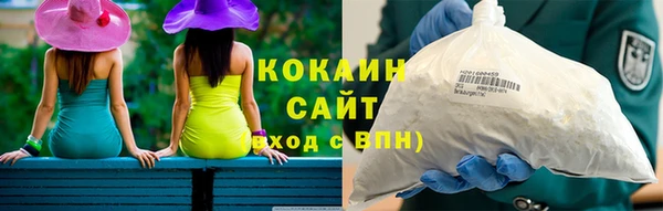 спиды Богородицк