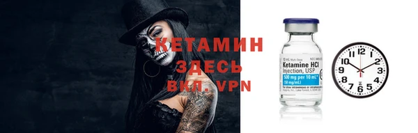 спиды Богородицк