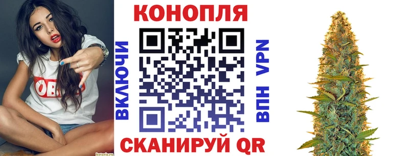 Марихуана Bruce Banner  Мыски 